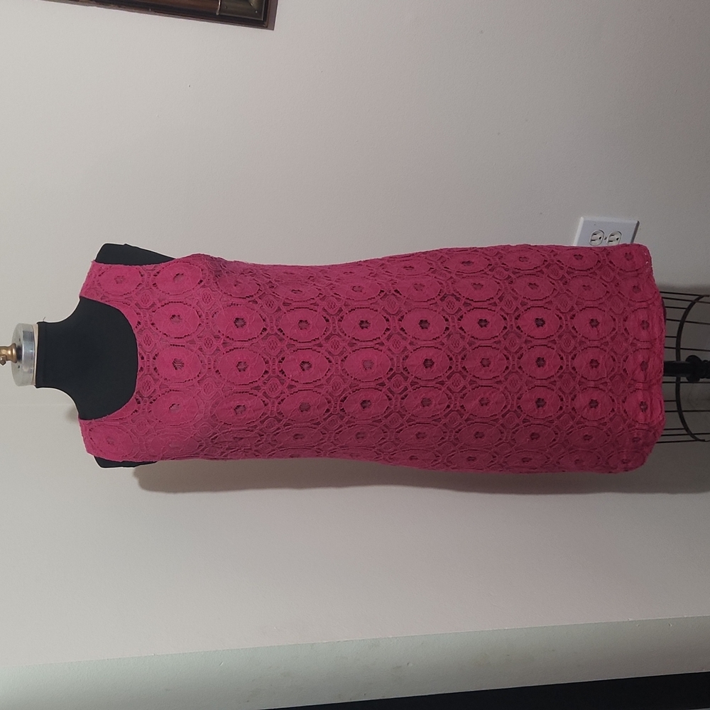 Deep Pink Lace Sleeveless Lined Sheath by 9 & Co. Dress - Size 14